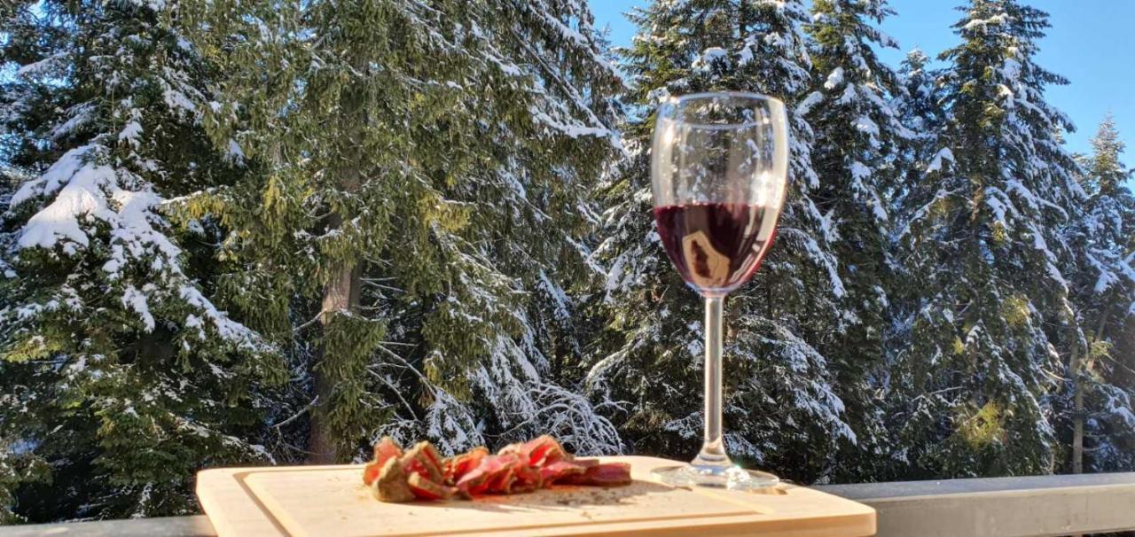Fox Boutique Apartment Borovets Gardens Zewnętrze zdjęcie